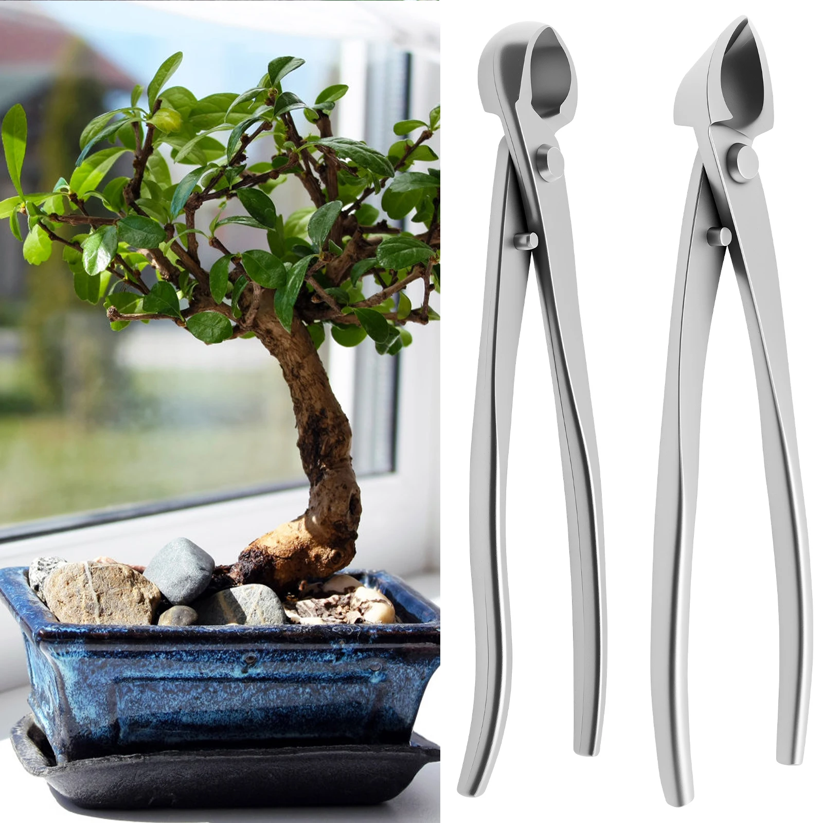 Bonsai Garden Timings - Bonsai Bakım Seti Paslanmaz Çelik Aşınmaya