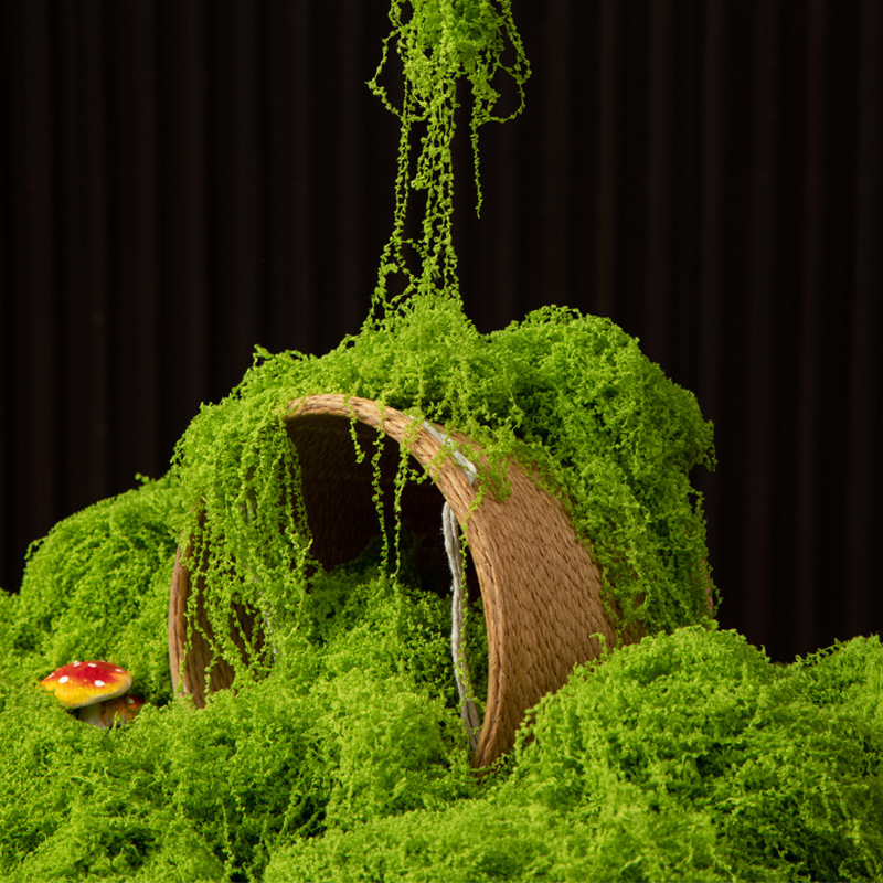 Bonsai Garden Mini - 200g Ebedi Yaşam Yosun DIY El