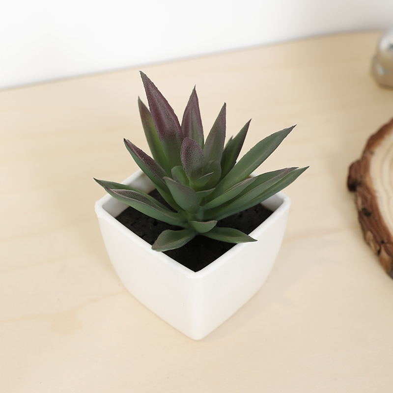 Bonsai Garden Mini - Mini Yapay Etli Peri Bardağı Küçük