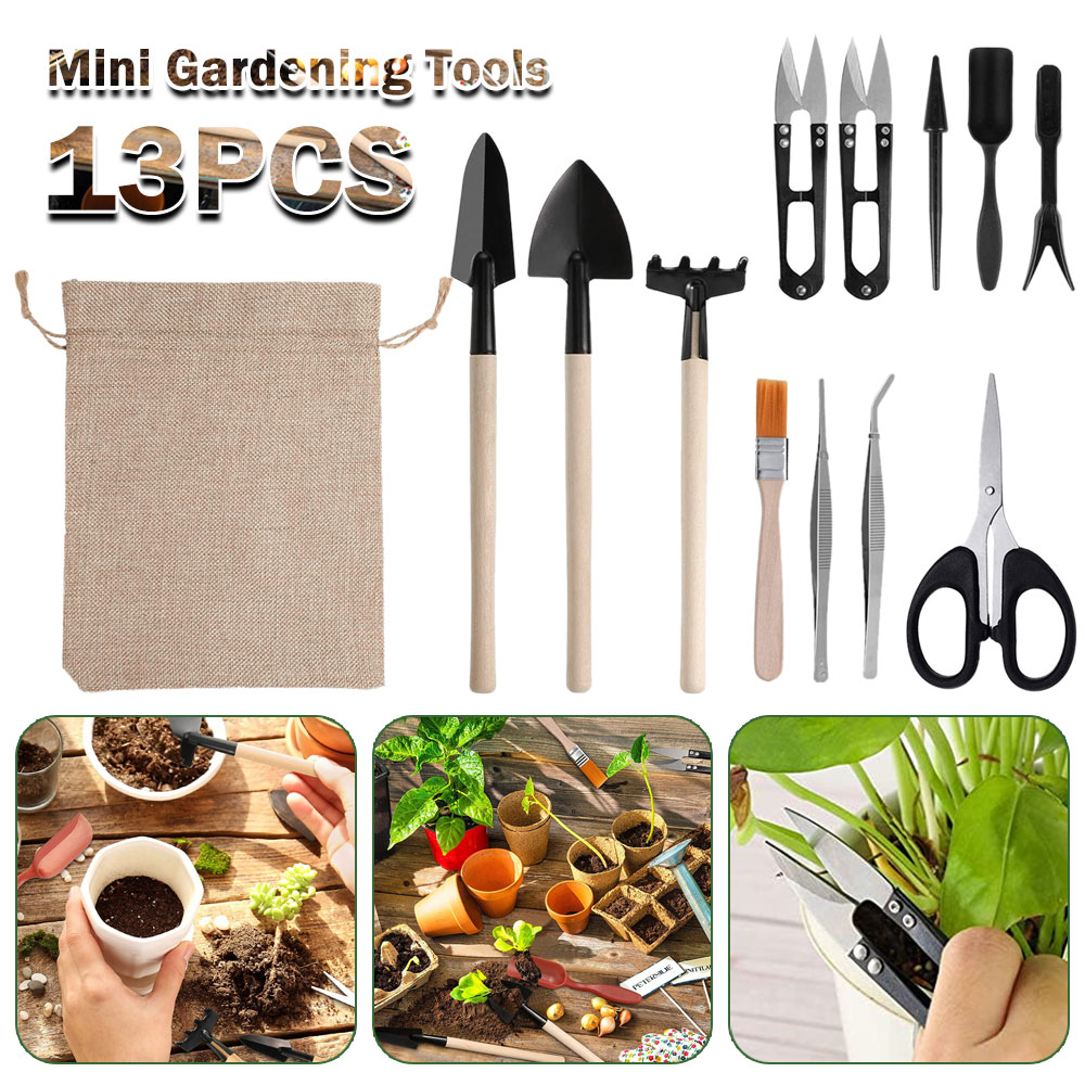 Bonsai Garden Mini - Etli Bitkiler Araçları Mini Bahçe El