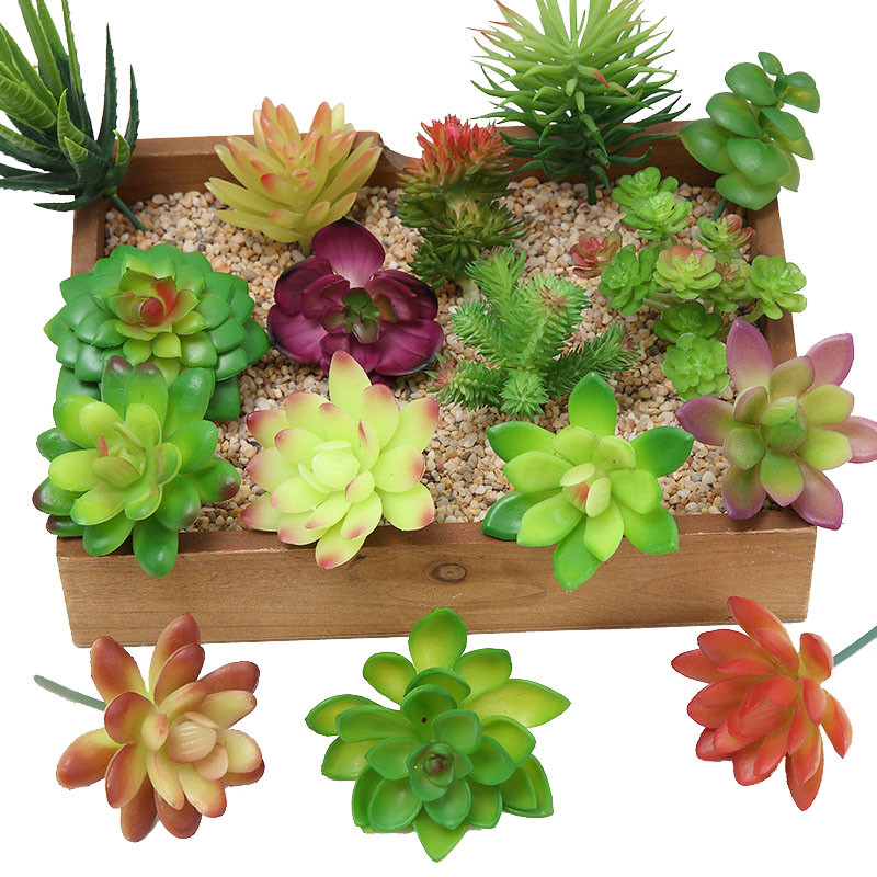 2021 yapay Succulents bitkiler - Bonsai Garden Mini incelemesi ve fiyatı