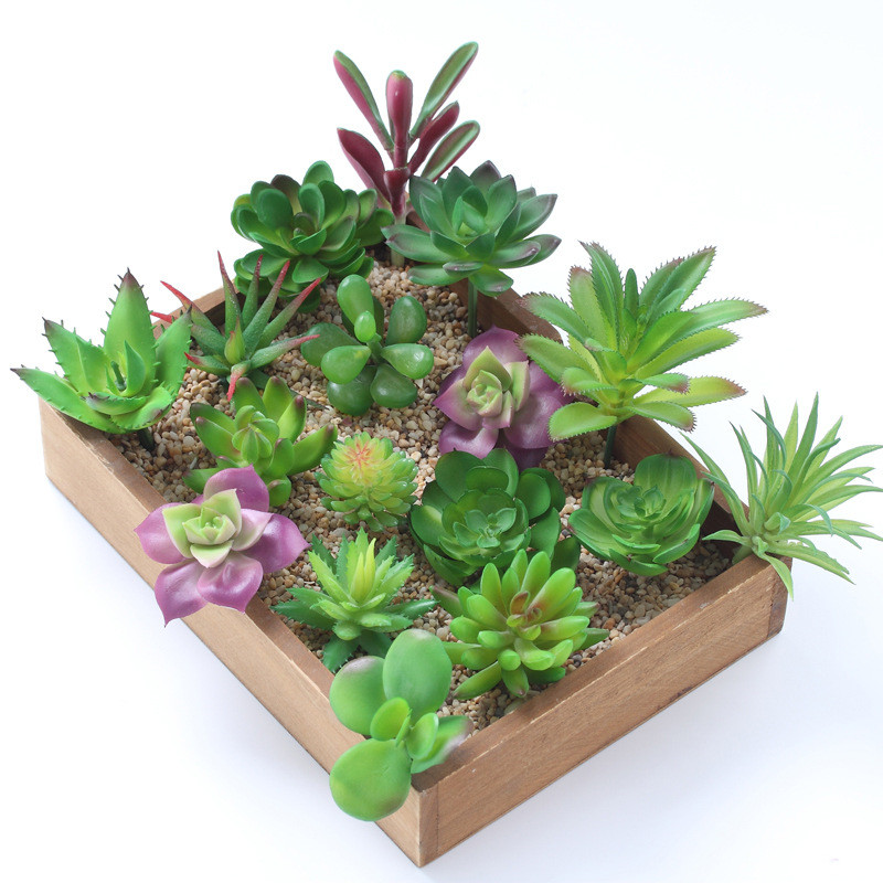 2021 yapay Succulents bitkiler - Bonsai Garden Mini incelemesi ve fiyatı