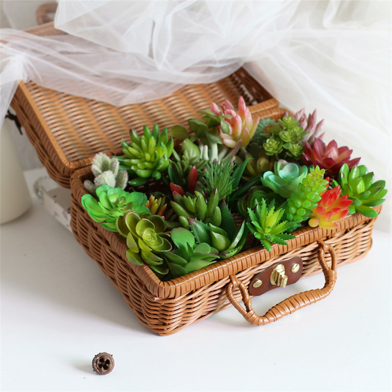 2021 yapay Succulents bitkiler - Bonsai Garden Mini incelemesi ve fiyatı
