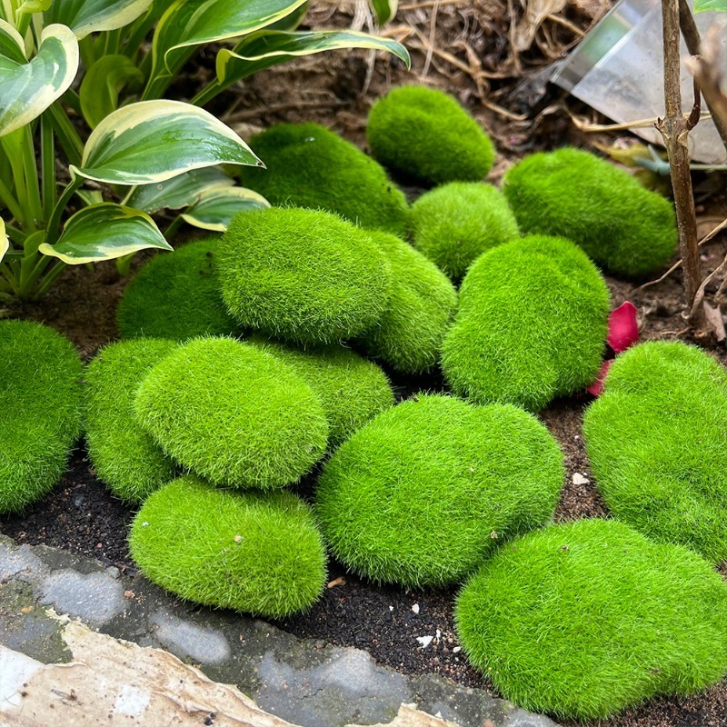 5/30 adet Simülasyon Yosun Taş - Bonsai Rock Garden incelemesi ve fiyatı