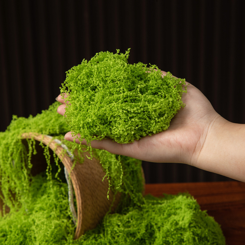 200g Ebedi Yaşam Yosun DIY El  - Bonsai Garden Mini incelemesi ve fiyatı