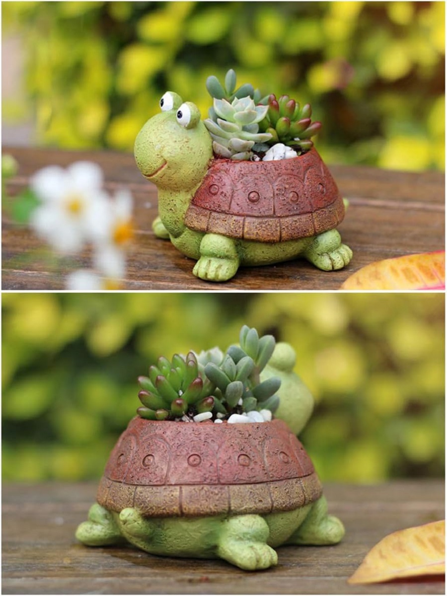 Sevimli kaplumbağa ekici etli  - Bonsai Garden Desk incelemesi ve fiyatı