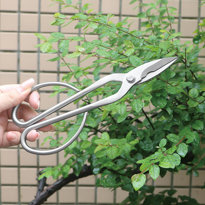 Tamamen çelik bahçe makası, ya - Concave Branch Cutter incelemesi ve fiyatı