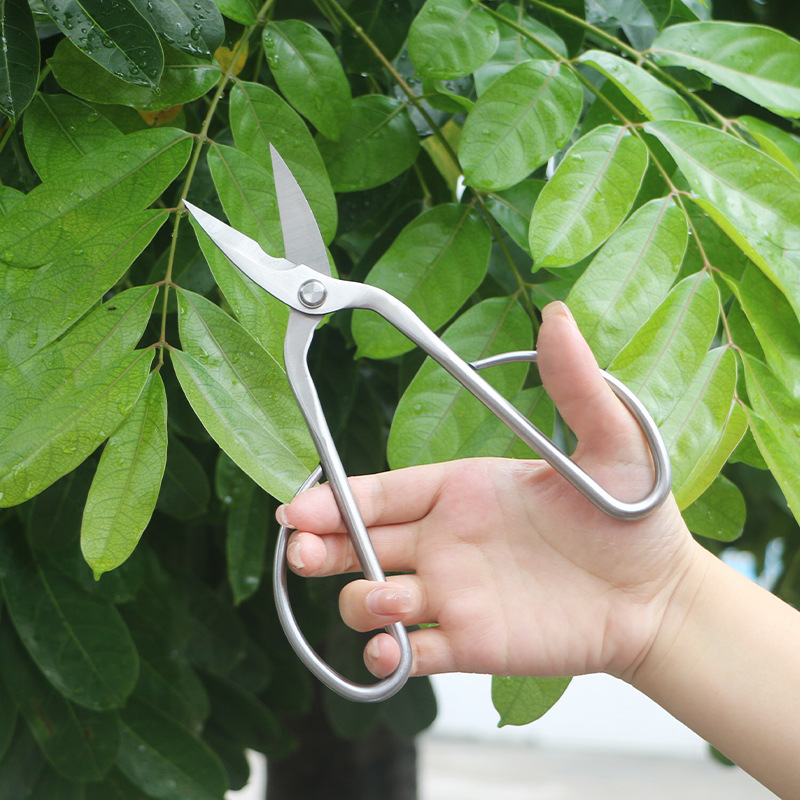 Tamamen çelik bahçe makası, ya - Concave Branch Cutter incelemesi ve fiyatı