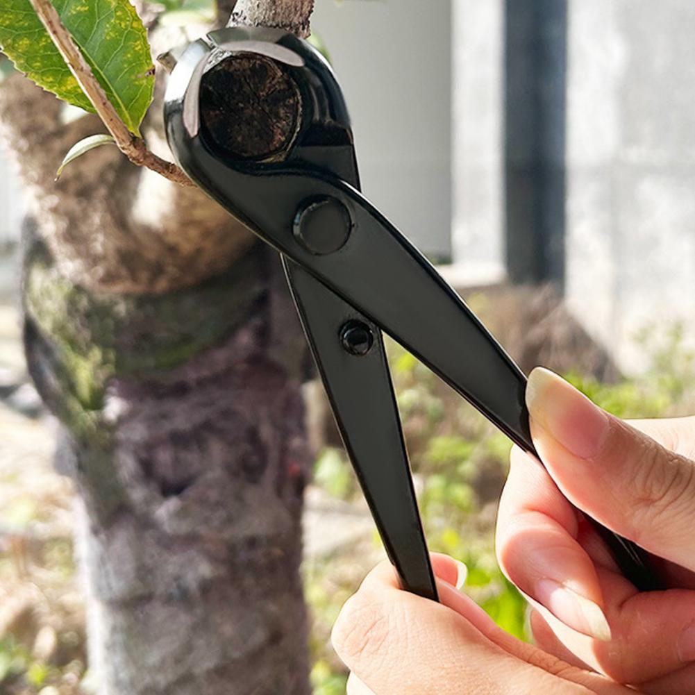 Bonsai içbükey dal kesici mang - Concave Branch Cutter incelemesi ve fiyatı