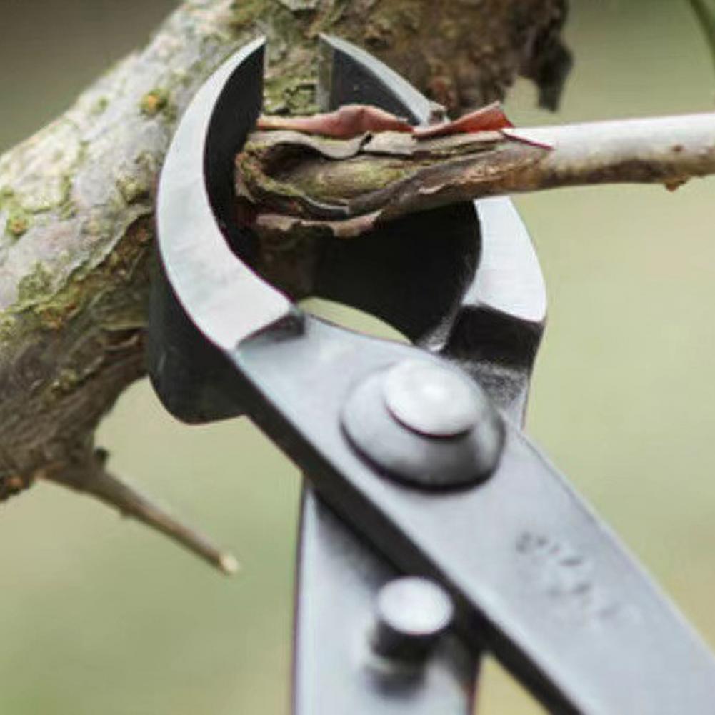 Bonsai içbükey dal kesici mang - Concave Branch Cutter incelemesi ve fiyatı