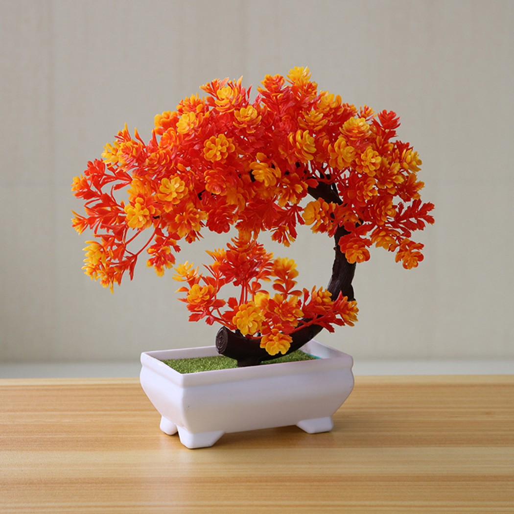 Plastik saksılı bonsai süsü, i - Bonsai Garden Desk incelemesi ve fiyatı