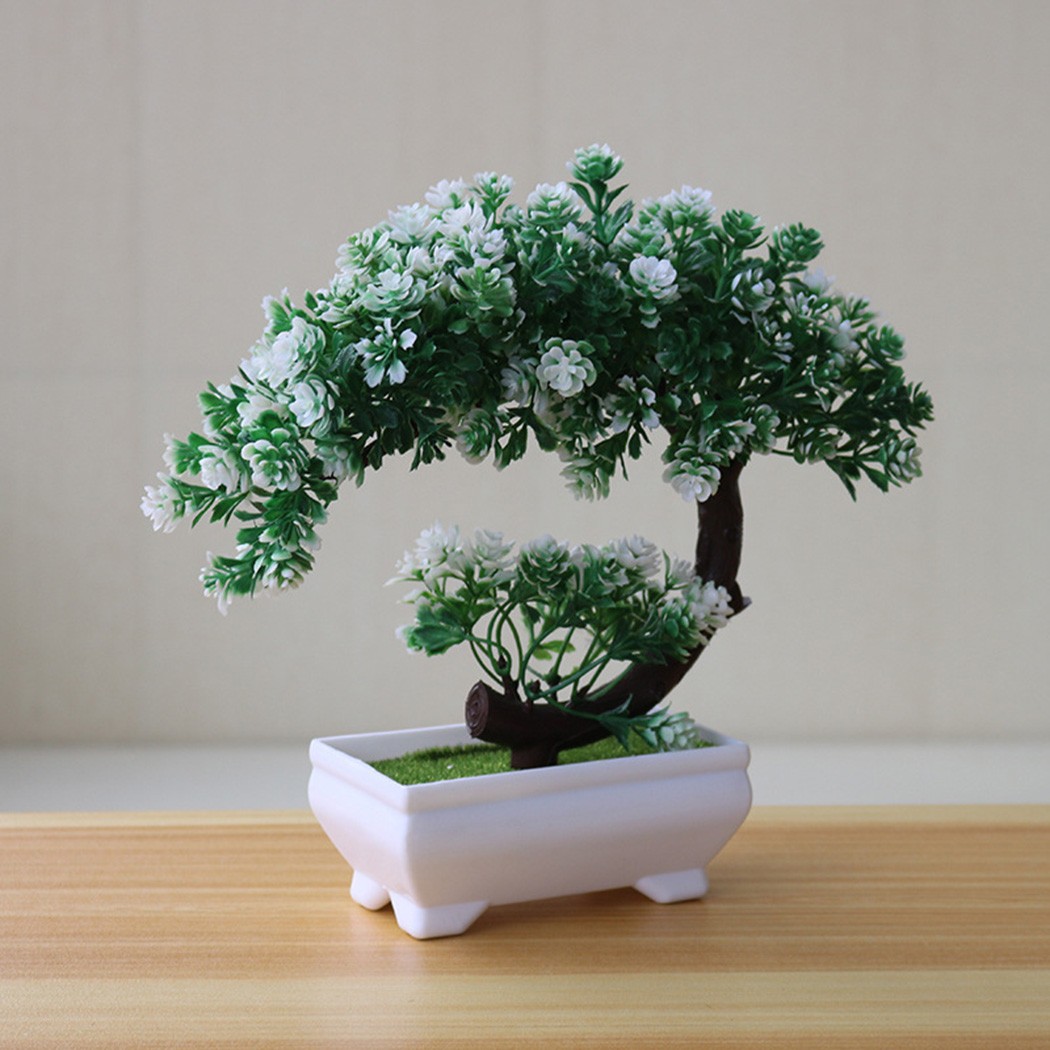 Plastik saksılı bonsai süsü, i - Bonsai Garden Desk incelemesi ve fiyatı