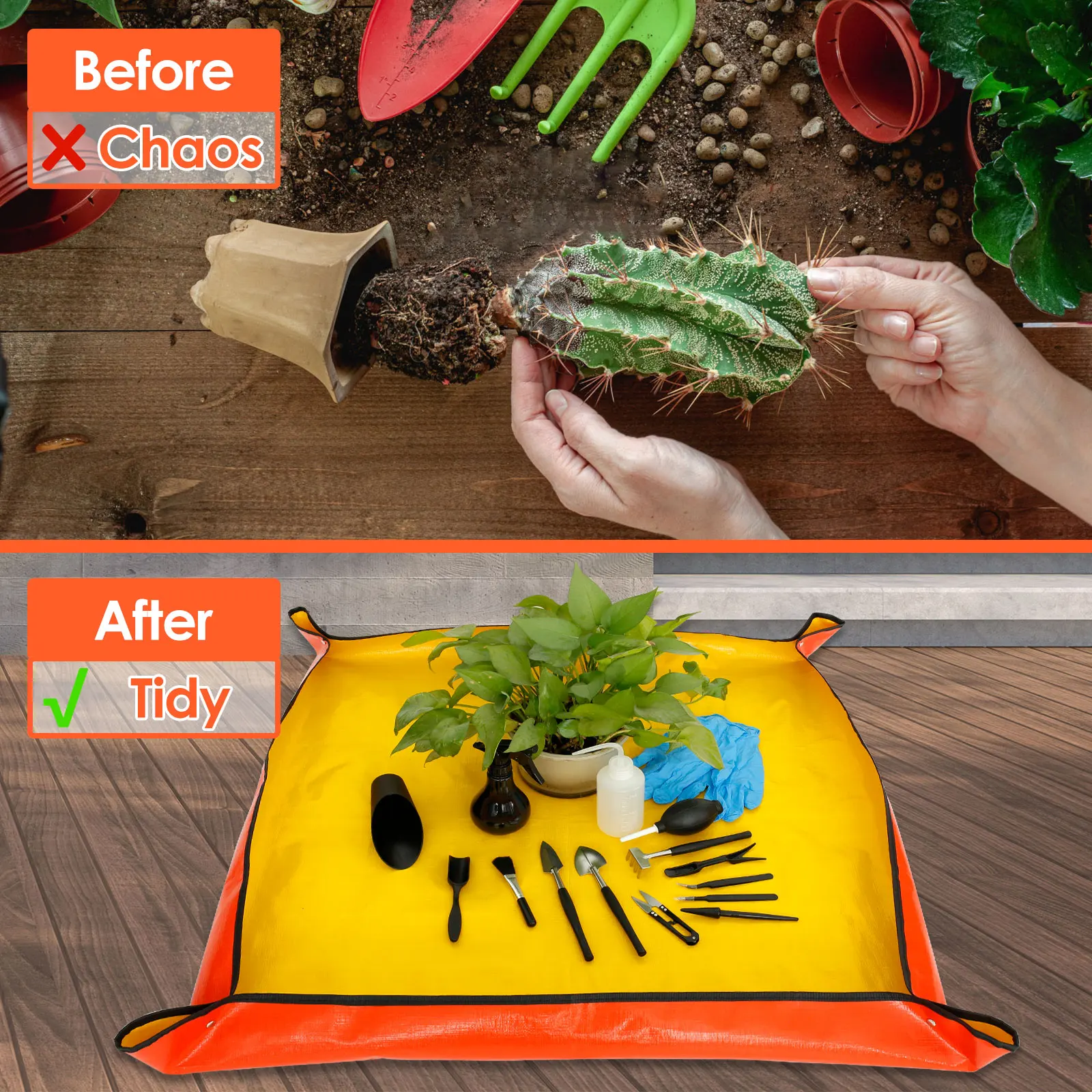 13/16 adet bahçe etli bitkiler - Bonsai Garden Mini incelemesi ve fiyatı