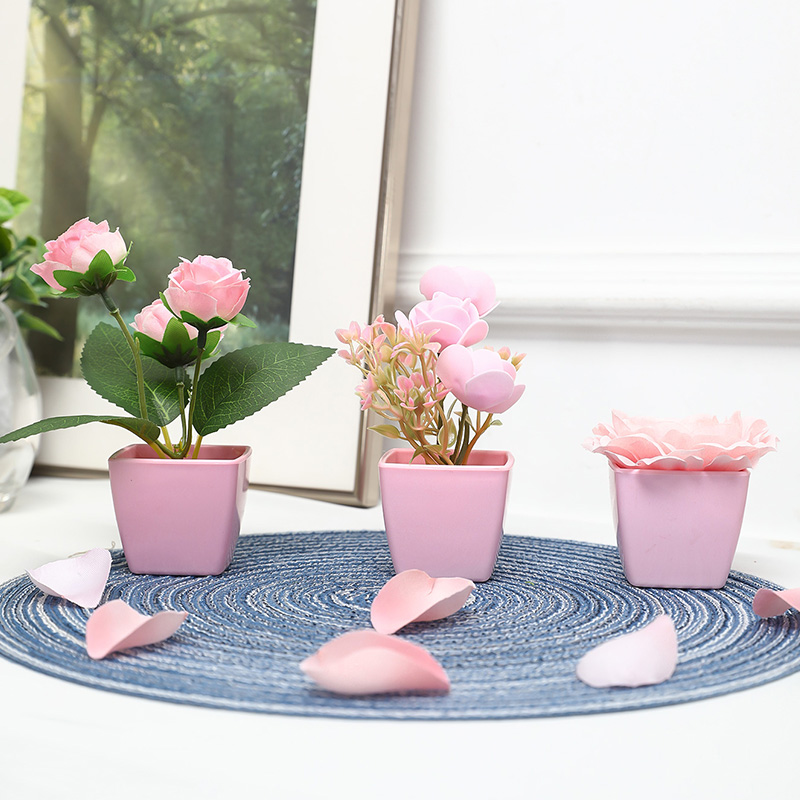 (3 adetlik set) Evleri, Restor - Bonsai Garden Mini incelemesi ve fiyatı