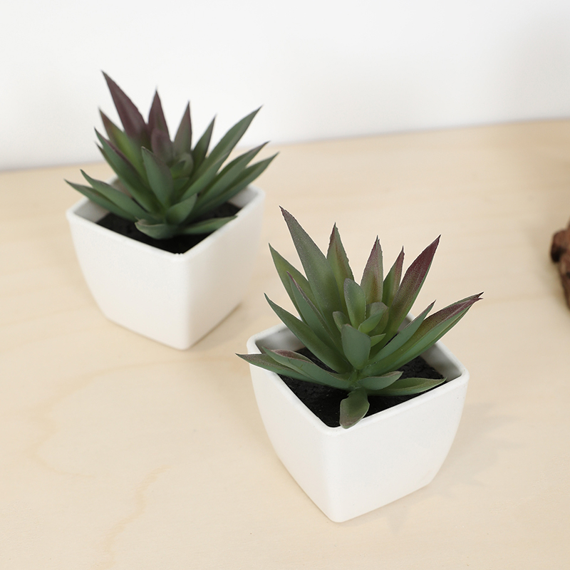 Mini Yapay Etli Peri Bardağı K - Bonsai Garden Mini incelemesi ve fiyatı