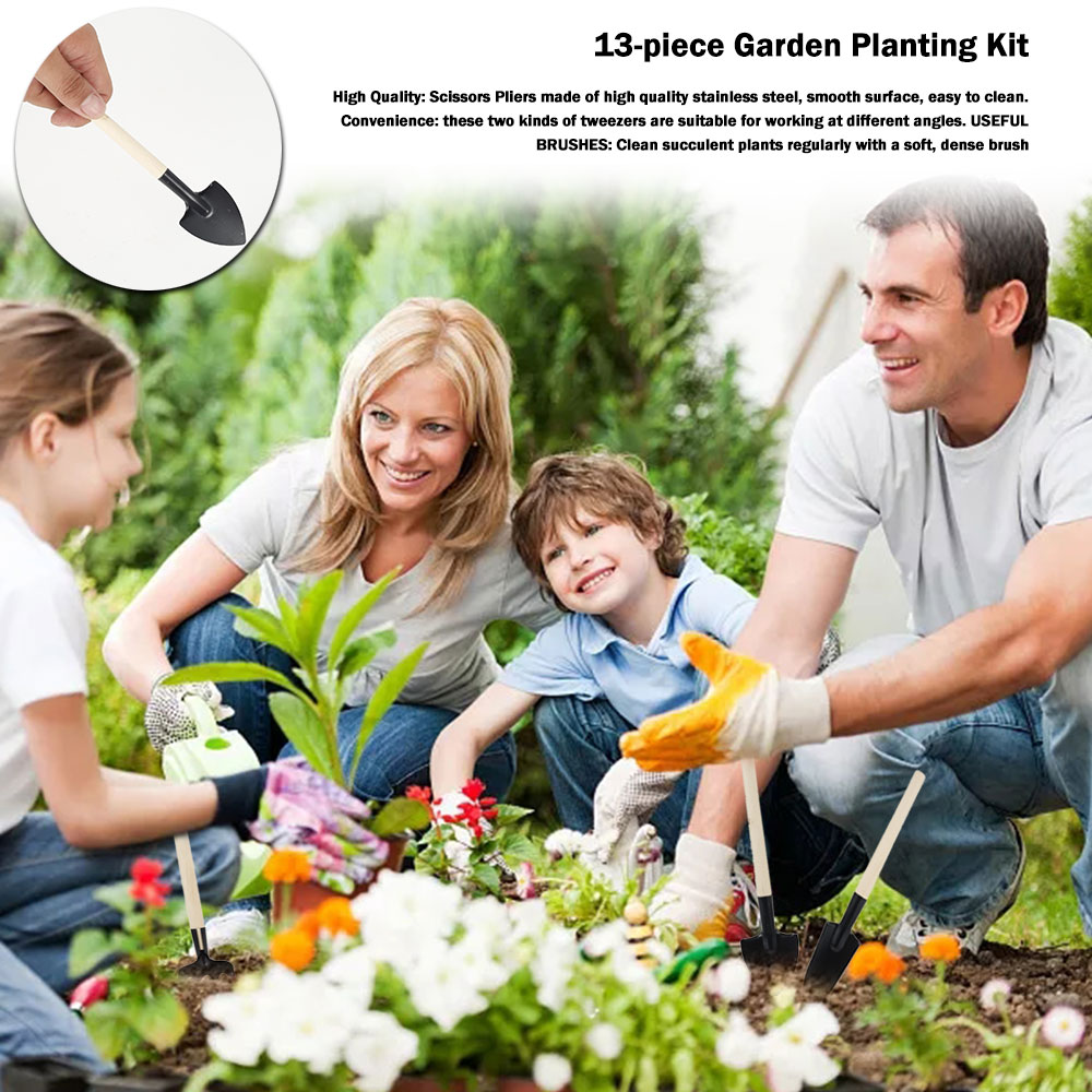 Etli Bitkiler Araçları Mini Ba - Bonsai Garden Mini incelemesi ve fiyatı