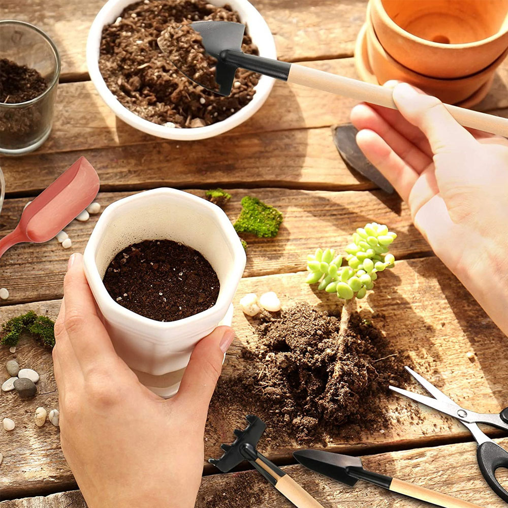 Etli Bitkiler Araçları Mini Ba - Bonsai Garden Mini incelemesi ve fiyatı